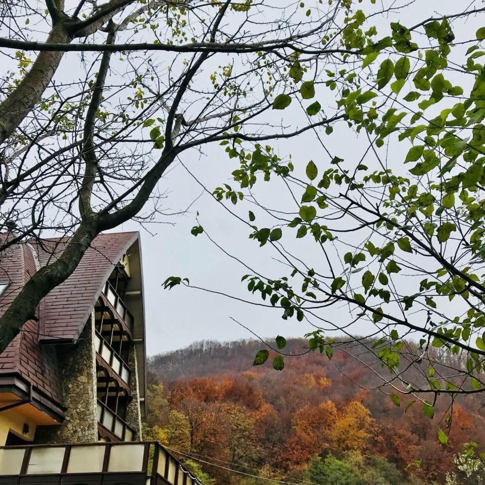 Pension Casa Vanatorilor Băile Olăneşti Eksteriør bilde