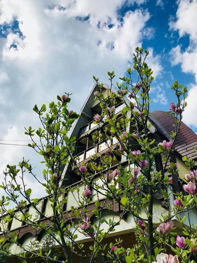 Pension Casa Vanatorilor Băile Olăneşti Eksteriør bilde